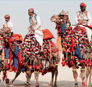 tour to india Kerala