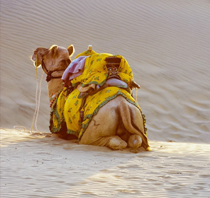 Beach Tourism