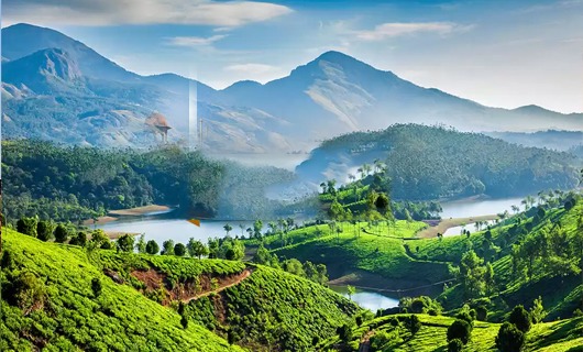 Bangalore Coorg ooty kodaikanal Mysore Tour